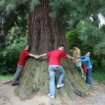 Have you hugged your tree today? It's waiting for you...