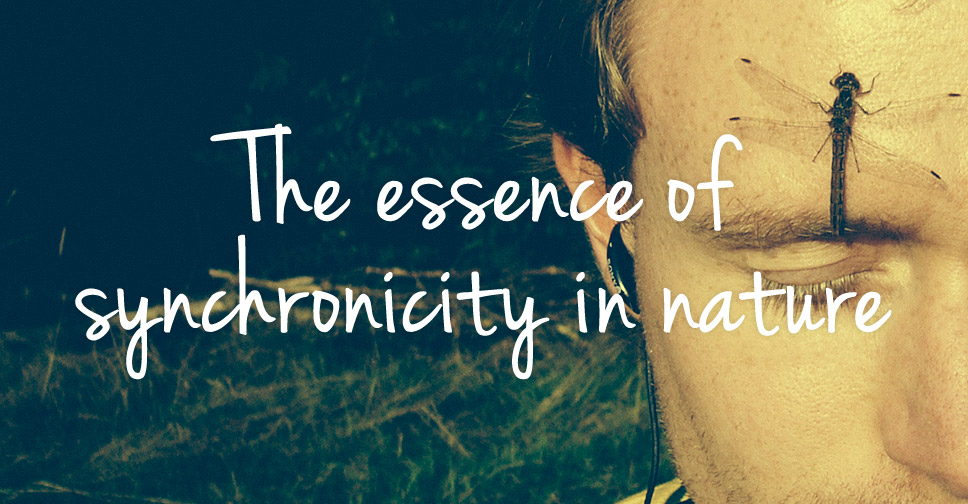 The Essence Of Synchronicity As A Meaningful Nature Experience