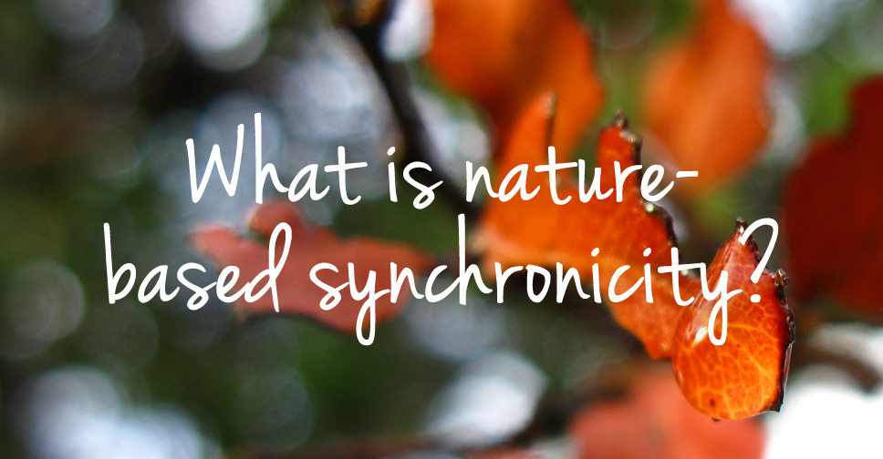 what-is-nature-based-synchronicity-eyes4earth