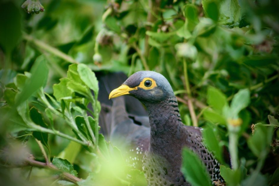 The essence of meaningful nature experience | eyes4earth.org