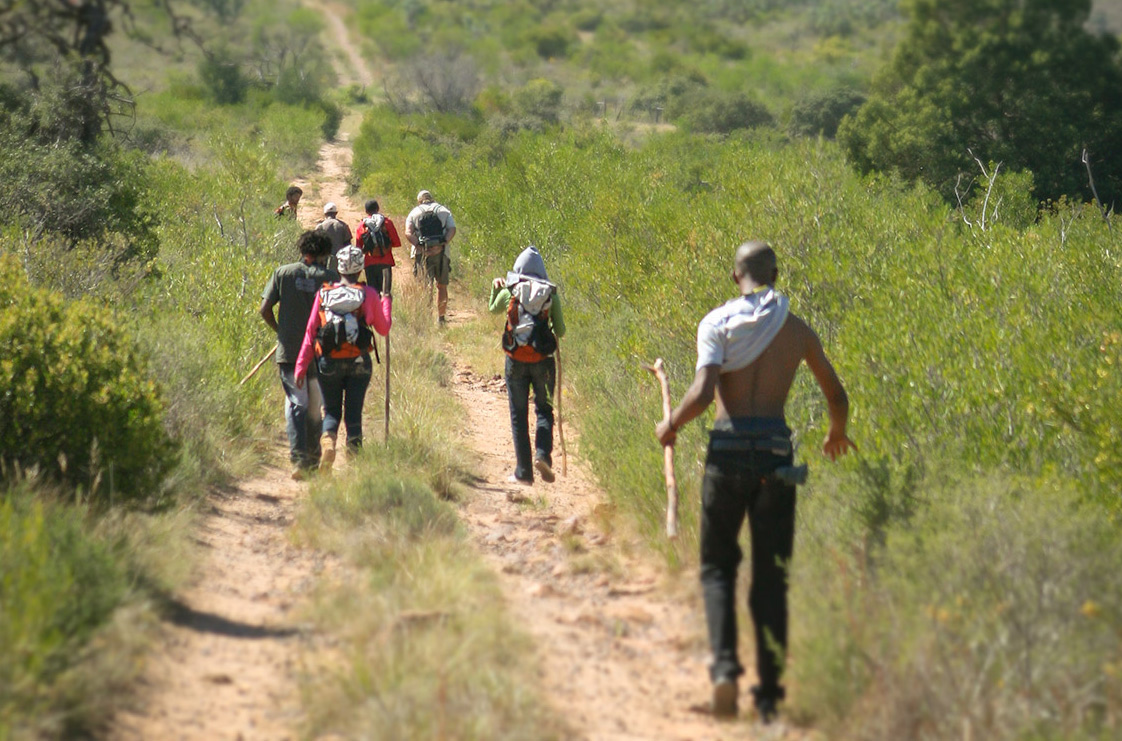 Exploring meaningful nature experience, connectedness with nature and ...